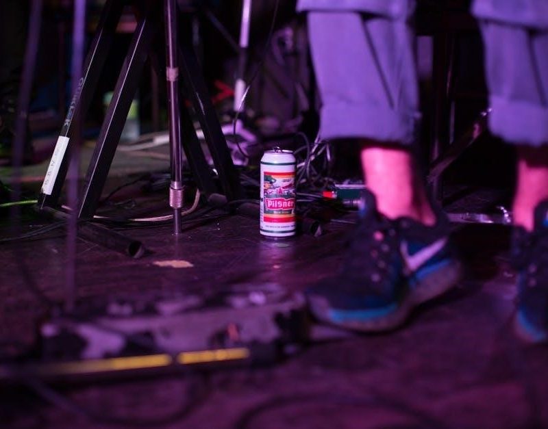 one night stand with the alpha king pdf