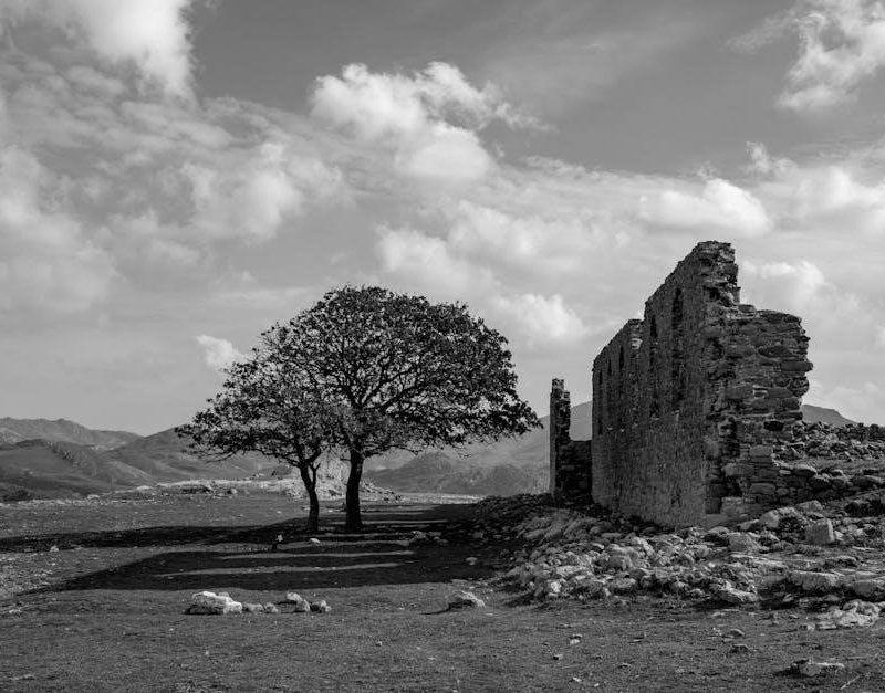 nikon d7100 instruction manual