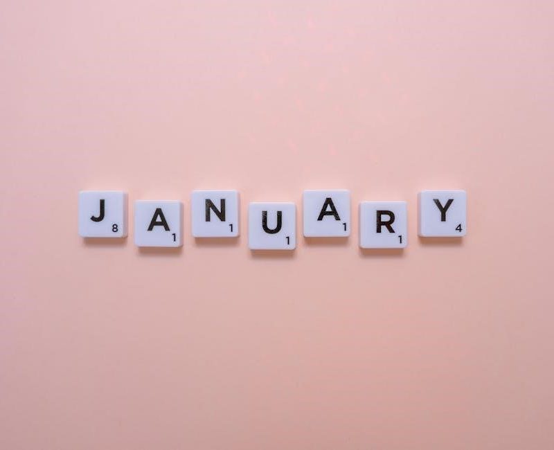 netball rule book 2024 pdf free download