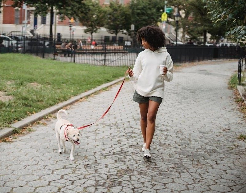 pdf sukhmani sahib path full with meaning in punjabi